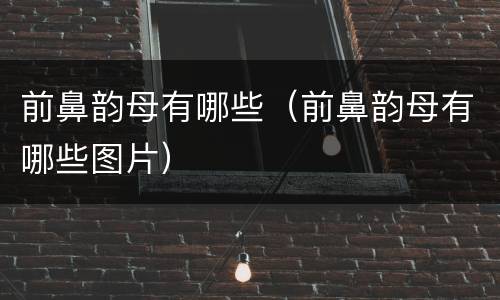 前鼻韵母有哪些（前鼻韵母有哪些图片）