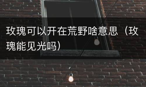 玫瑰可以开在荒野啥意思（玫瑰能见光吗）