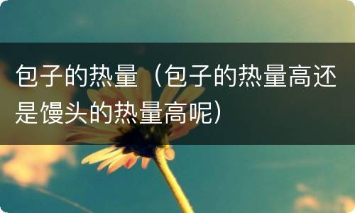 包子的热量（包子的热量高还是馒头的热量高呢）