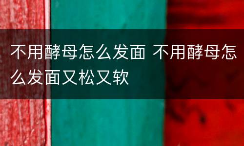不用酵母怎么发面 不用酵母怎么发面又松又软