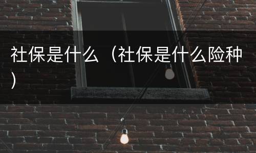 社保是什么（社保是什么险种）