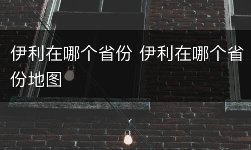 伊利在哪个省份 伊利在哪个省份地图