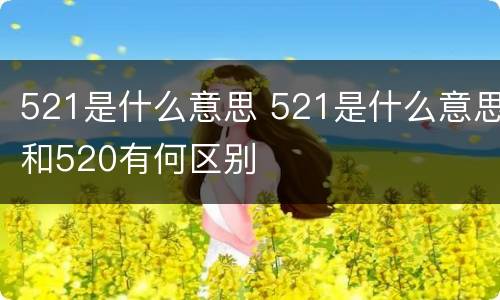 521是什么意思 521是什么意思和520有何区别