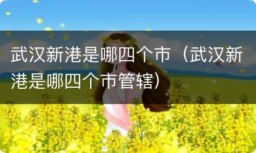 武汉新港是哪四个市（武汉新港是哪四个市管辖）