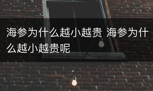海参为什么越小越贵 海参为什么越小越贵呢
