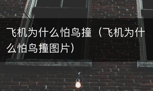 飞机为什么怕鸟撞（飞机为什么怕鸟撞图片）