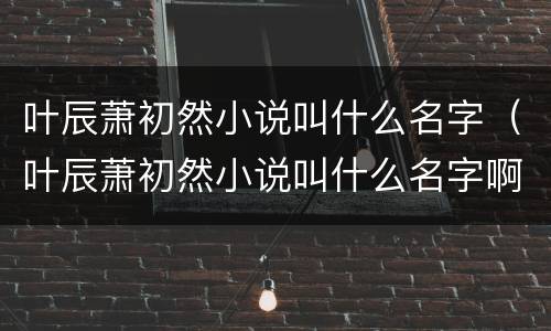 叶辰萧初然小说叫什么名字（叶辰萧初然小说叫什么名字啊）