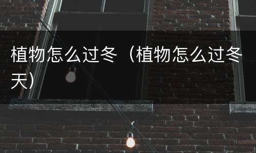 植物怎么过冬（植物怎么过冬天）