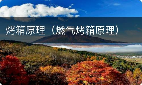 烤箱原理（燃气烤箱原理）