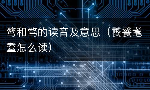 鹜和骛的读音及意思（饕餮耄耋怎么读）