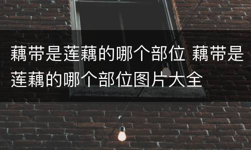 藕带是莲藕的哪个部位 藕带是莲藕的哪个部位图片大全