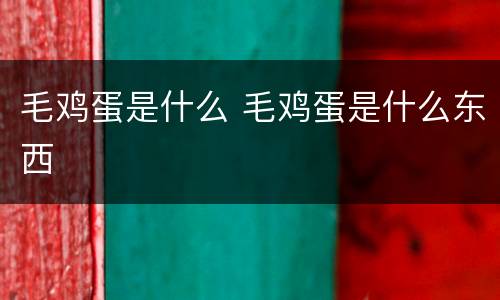 毛鸡蛋是什么 毛鸡蛋是什么东西