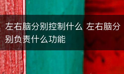 左右脑分别控制什么 左右脑分别负责什么功能