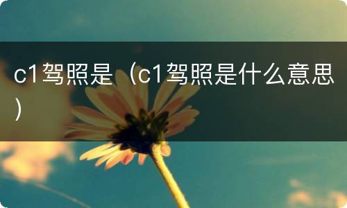 c1驾照是（c1驾照是什么意思）