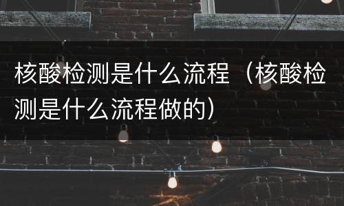 核酸检测是什么流程（核酸检测是什么流程做的）