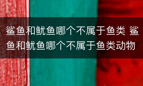 鲨鱼和鱿鱼哪个不属于鱼类 鲨鱼和鱿鱼哪个不属于鱼类动物