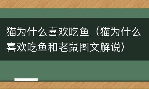 猫为什么喜欢吃鱼（猫为什么喜欢吃鱼和老鼠图文解说）