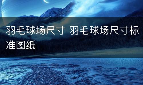 羽毛球场尺寸 羽毛球场尺寸标准图纸