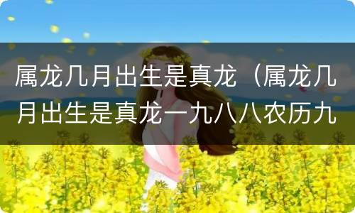 属龙几月出生是真龙（属龙几月出生是真龙一九八八农历九月二十二命运苦吗?）