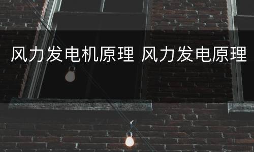 风力发电机原理 风力发电原理