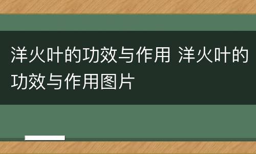 洋火叶的功效与作用 洋火叶的功效与作用图片