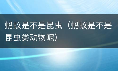 蚂蚁是不是昆虫（蚂蚁是不是昆虫类动物呢）