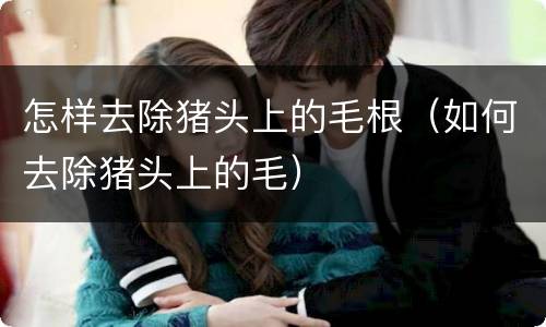 怎样去除猪头上的毛根（如何去除猪头上的毛）