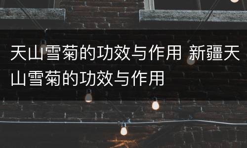 天山雪菊的功效与作用 新疆天山雪菊的功效与作用