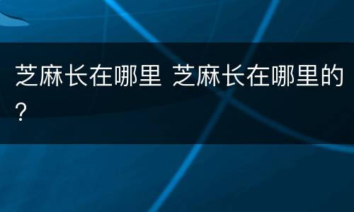 芝麻长在哪里 芝麻长在哪里的?