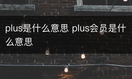 plus是什么意思 plus会员是什么意思