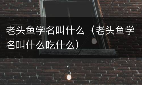 老头鱼学名叫什么（老头鱼学名叫什么吃什么）