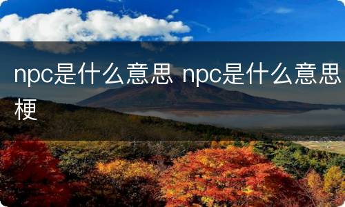 npc是什么意思 npc是什么意思梗