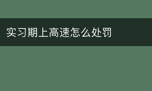 实习期上高速怎么处罚