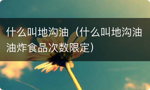 什么叫地沟油（什么叫地沟油油炸食品次数限定）
