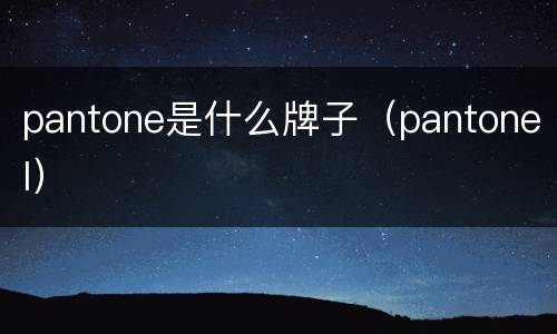 pantone是什么牌子（pantonel）