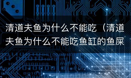 清道夫鱼为什么不能吃（清道夫鱼为什么不能吃鱼缸的鱼屎）