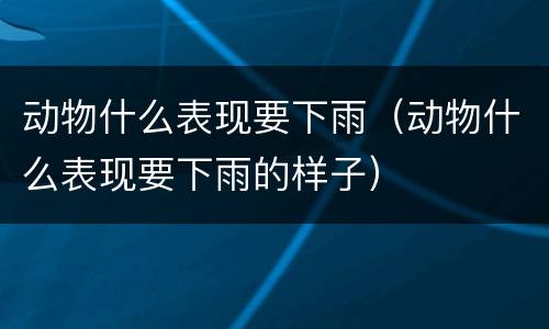 动物什么表现要下雨（动物什么表现要下雨的样子）