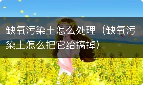 缺氧污染土怎么处理（缺氧污染土怎么把它给搞掉）