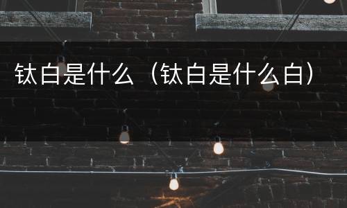 钛白是什么（钛白是什么白）