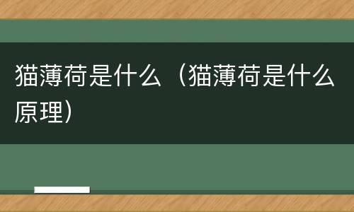 猫薄荷是什么（猫薄荷是什么原理）