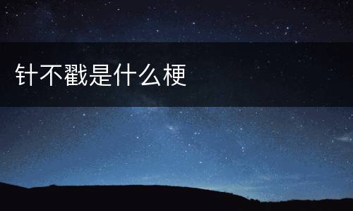 针不戳是什么梗