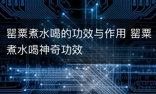 罂粟煮水喝的功效与作用 罂粟煮水喝神奇功效