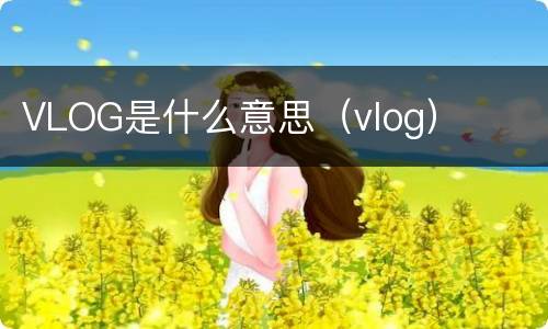 VLOG是什么意思（vlog）