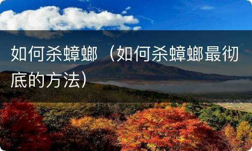 如何杀蟑螂（如何杀蟑螂最彻底的方法）