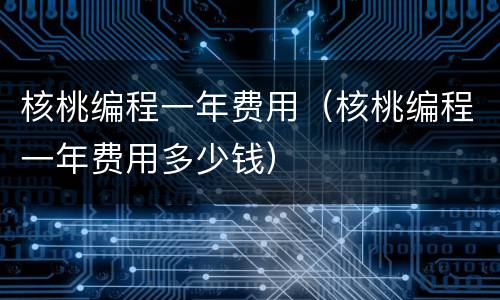 核桃编程一年费用（核桃编程一年费用多少钱）