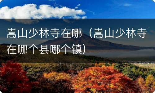 嵩山少林寺在哪（嵩山少林寺在哪个县哪个镇）