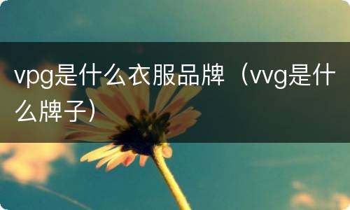 vpg是什么衣服品牌（vvg是什么牌子）