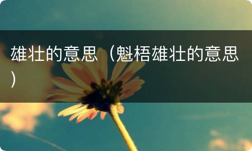 雄壮的意思（魁梧雄壮的意思）