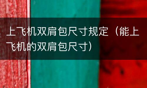 上飞机双肩包尺寸规定（能上飞机的双肩包尺寸）