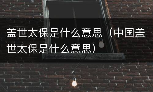 盖世太保是什么意思（中国盖世太保是什么意思）
